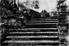 MemuMiastu_RobertPranagal_041