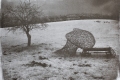 POWROT_RobertPranagal_Full-6196