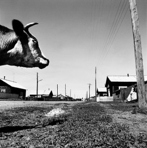 ©-Andreas-Horvath.1